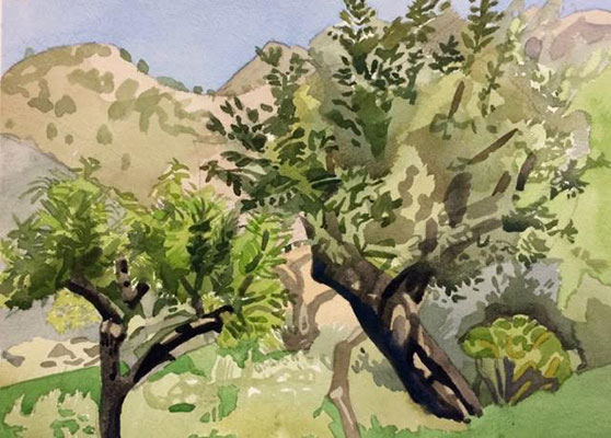 Arboles, La Serranía, Mallorca