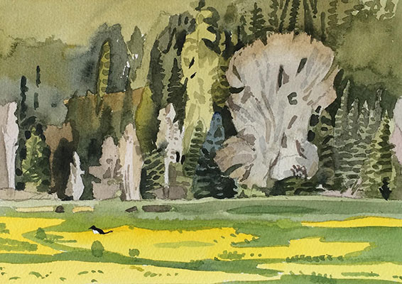 Valley Floor, Telluride, Colorado